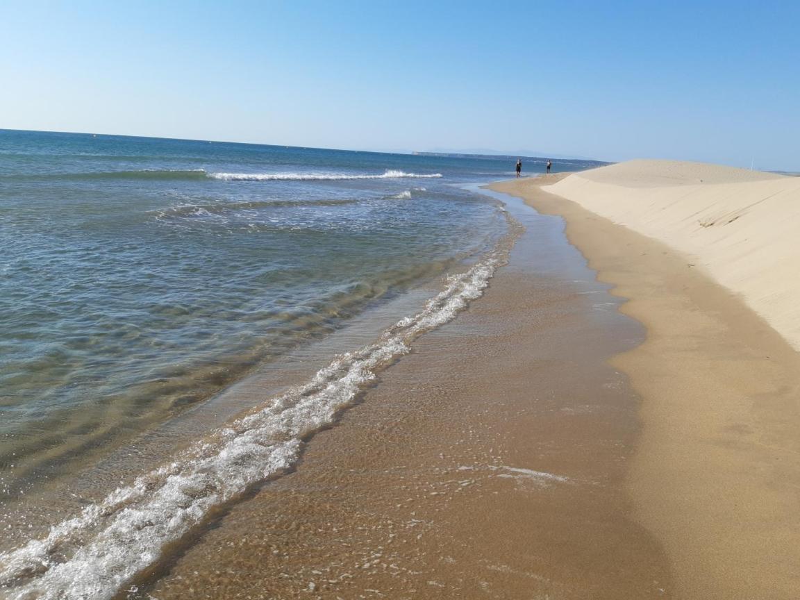 Face A La Mer Lägenhet Port-la-Nouvelle Exteriör bild